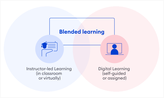 Blended Learning